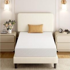 affordable twin mattress option
