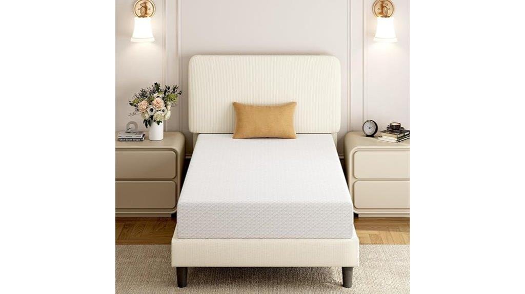 affordable twin mattress option