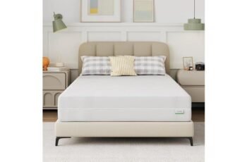 Novilla 6 Inch Full Size Mattress Review