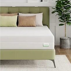 comfortable and versatile mattress