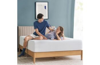 ZINUS 10 Inch Green Tea Mattress Review