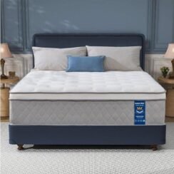 comfortable mattress evaluation process