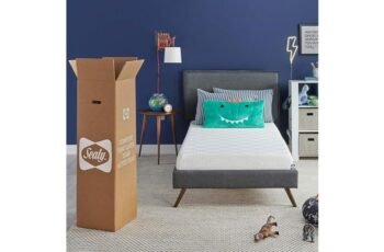 Sealy 6 Medium-Firm Mattress Review