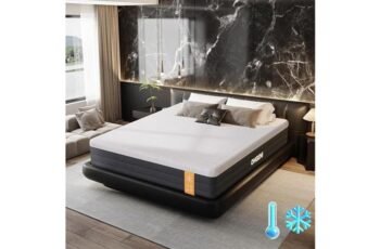 OhGeni 12 Inch Queen Size Mattress Review