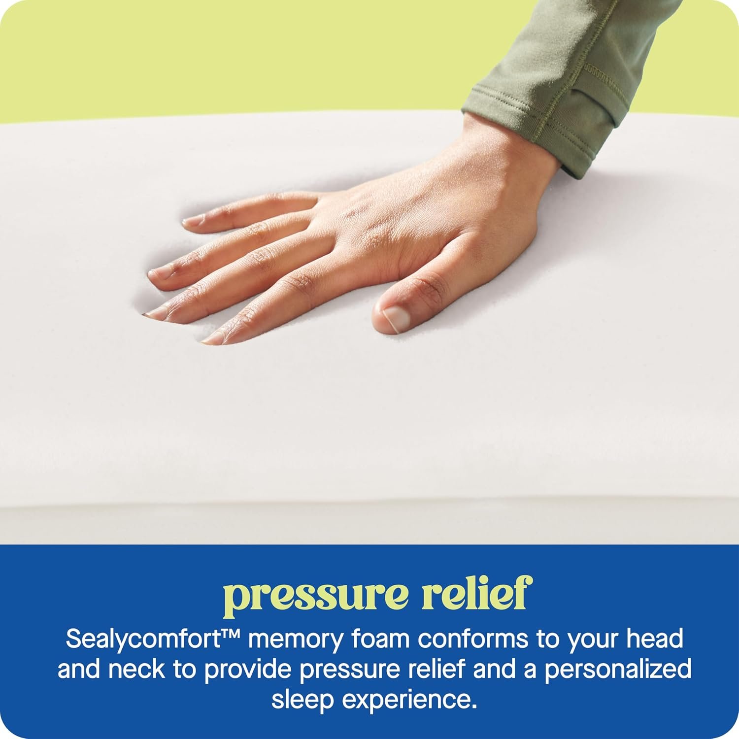 Sealy Dreamlife Standard Size Contour Memory Foam Pillow with Surface Guard Technology, Removable Machine-Washable Cover, 1