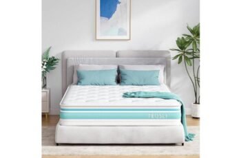 TeQsli Queen Size Mattress Review